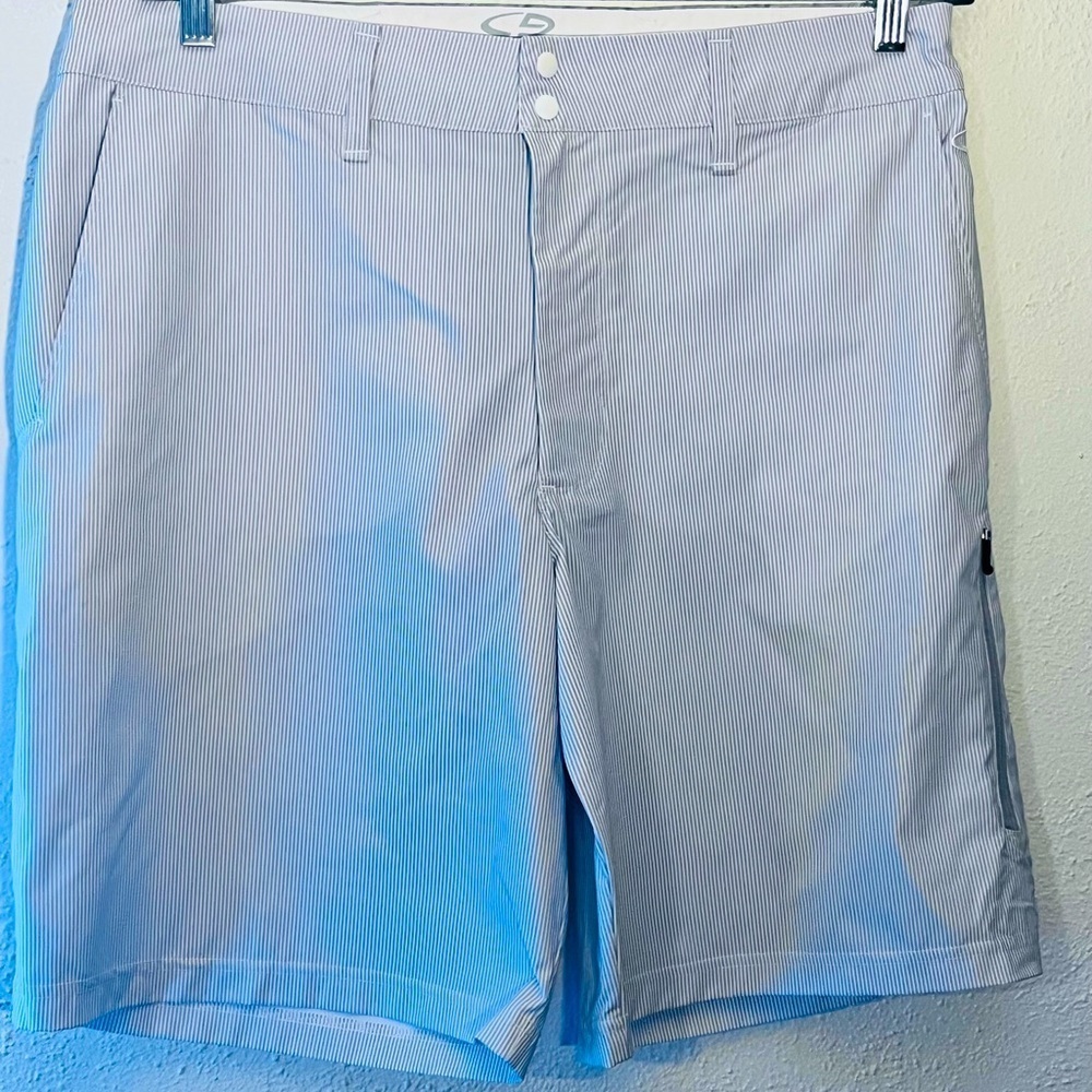 MEN CHAMPION QUICK BLUE & WHITE PIN STRIPE GOLF Preppy SHORTS Size 36